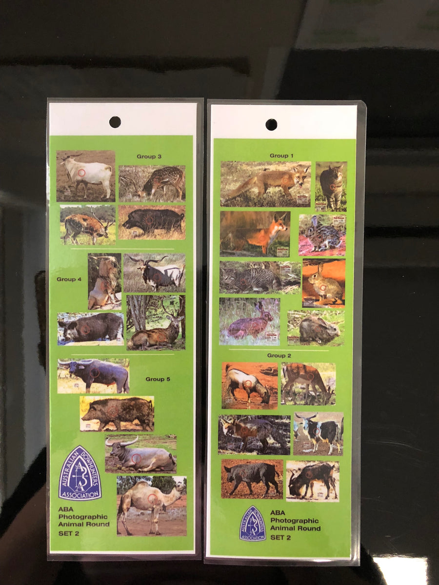 ABA Target Recognition Cards Coloured Targets Set 2 Australian